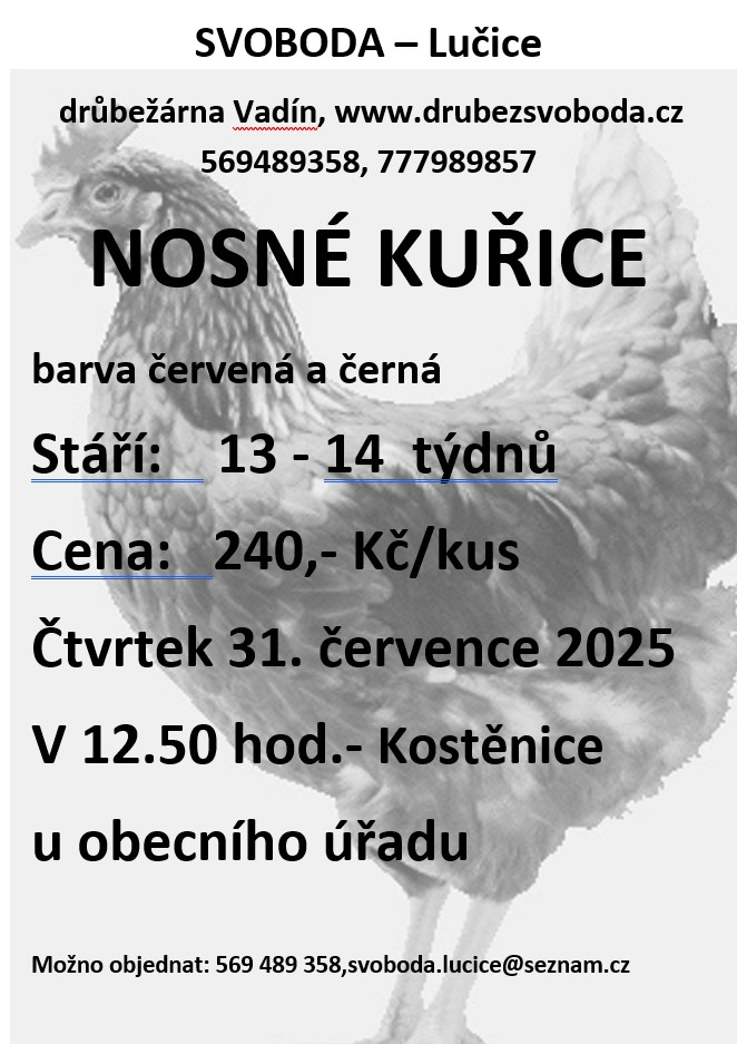 Nosné kuřice <br>Svoboda Lučice