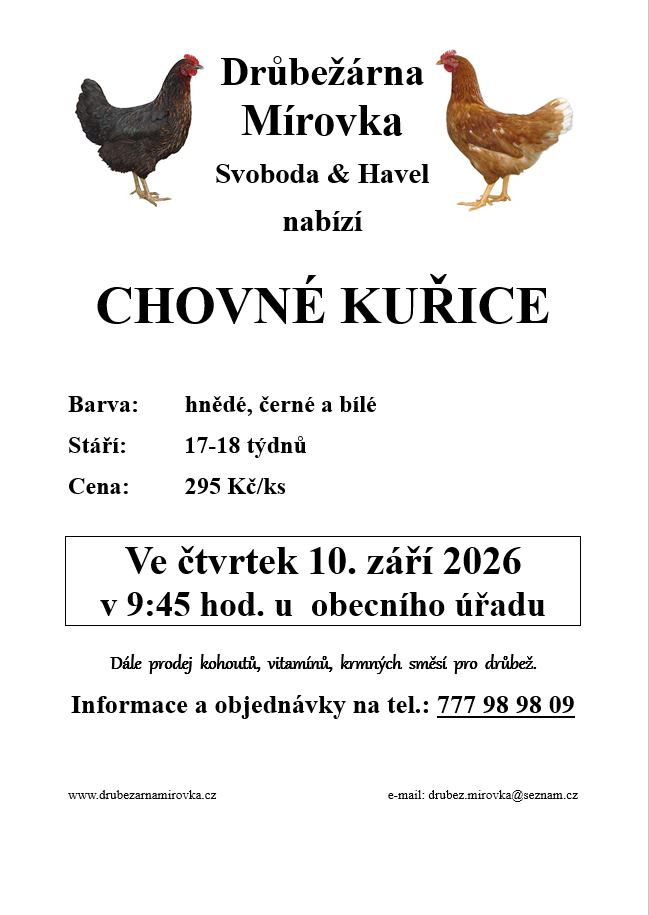 Drůbežárna Mírovka<br>Chovné kuřice Drůbežárna Mírovka<br>Chovné kuřice