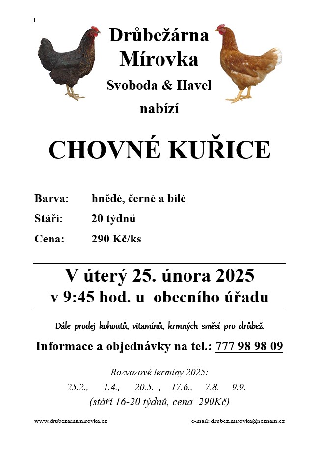 Drůbežárna Mírovka<br>Chovné kuřice